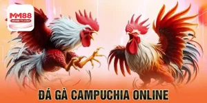 Bí Quyết Soi Kèo Luôn Thắng