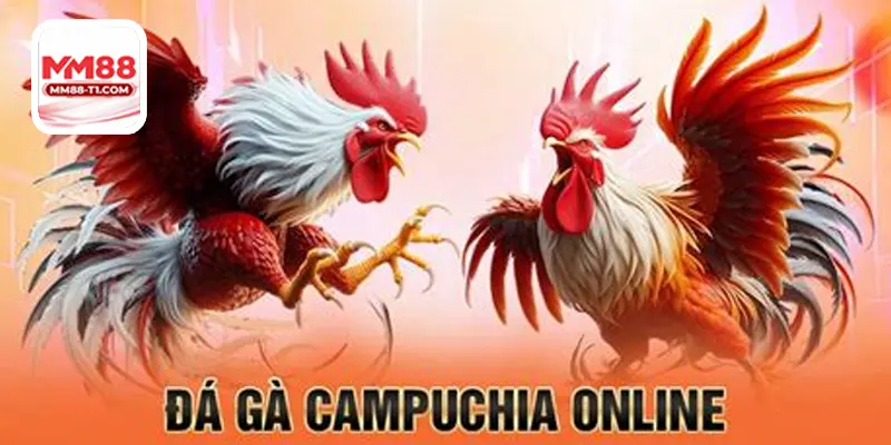 Bí Quyết Soi Kèo đá gà Luôn Thắng