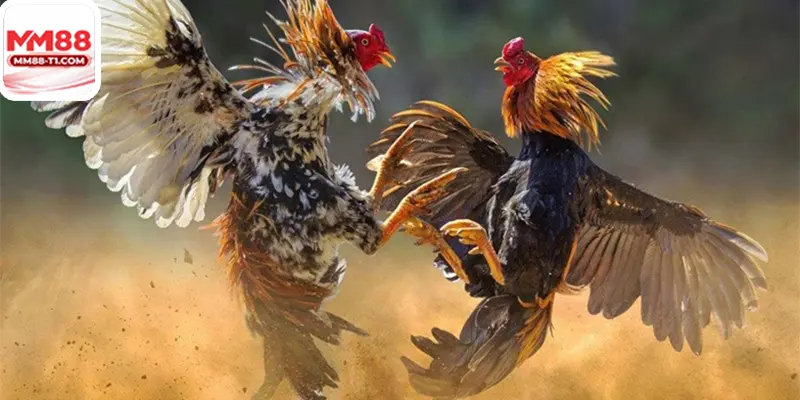 Nhà cái MM88 uy tín với các chứng nhận bảo mật và hỗ trợ 24/7.*