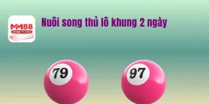 Hình ảnh minh họa khái niệm Song Thủ Lô – chọn 2 con số cùng lúc.