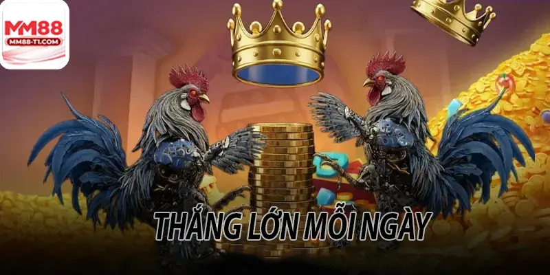 Người chơi thắng lớn và nhận thưởng từ cá cược Đá Gà tại MM88