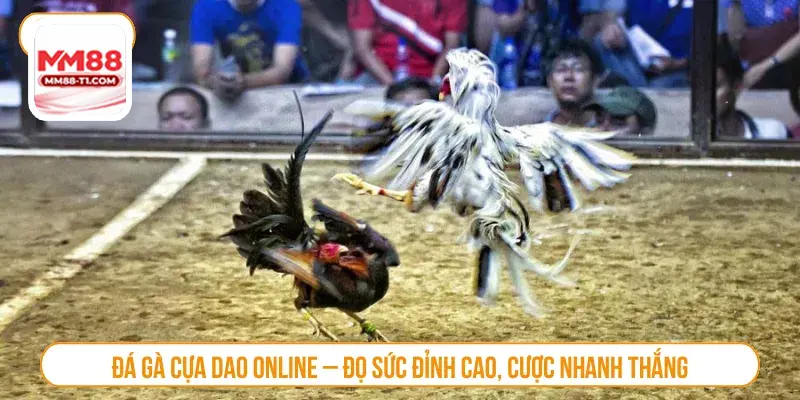 Đá gà cựa dao trực tuyến