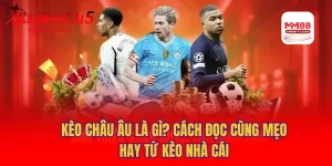 Lời khuyên từ chuyên gia