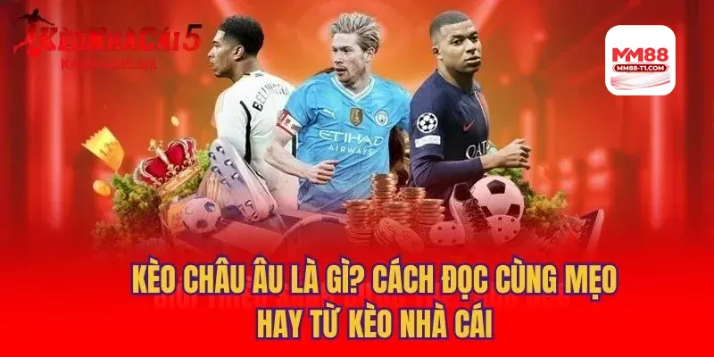 Lời khuyên từ chuyên gia